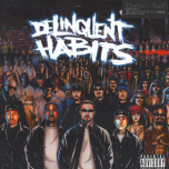 Delinquent Habits 2xLP