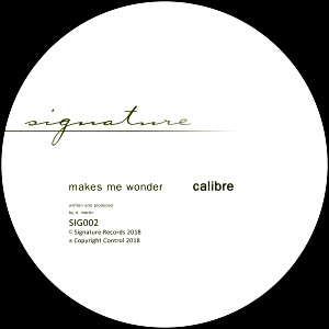 Signature 02 Repress - Makes Me Wonder / Got To Have You