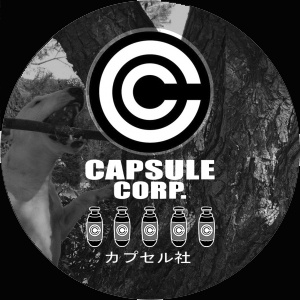 Capsule Corp 12